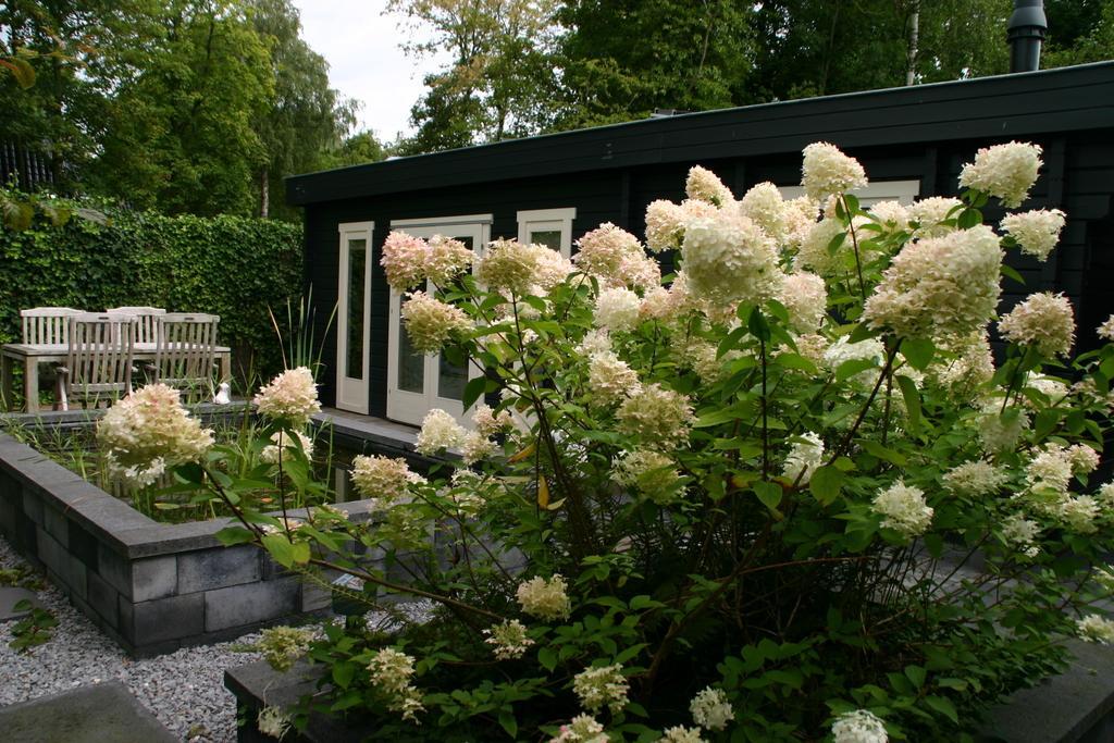 B&B Gaasterland Harich Pokoj fotografie